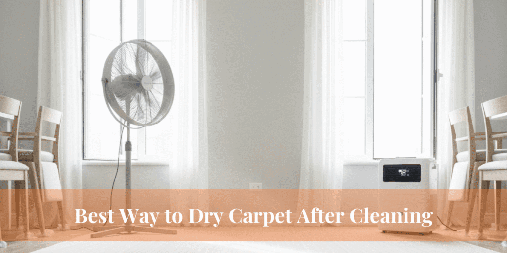 Best Way to Dry Carpet After Cleaning