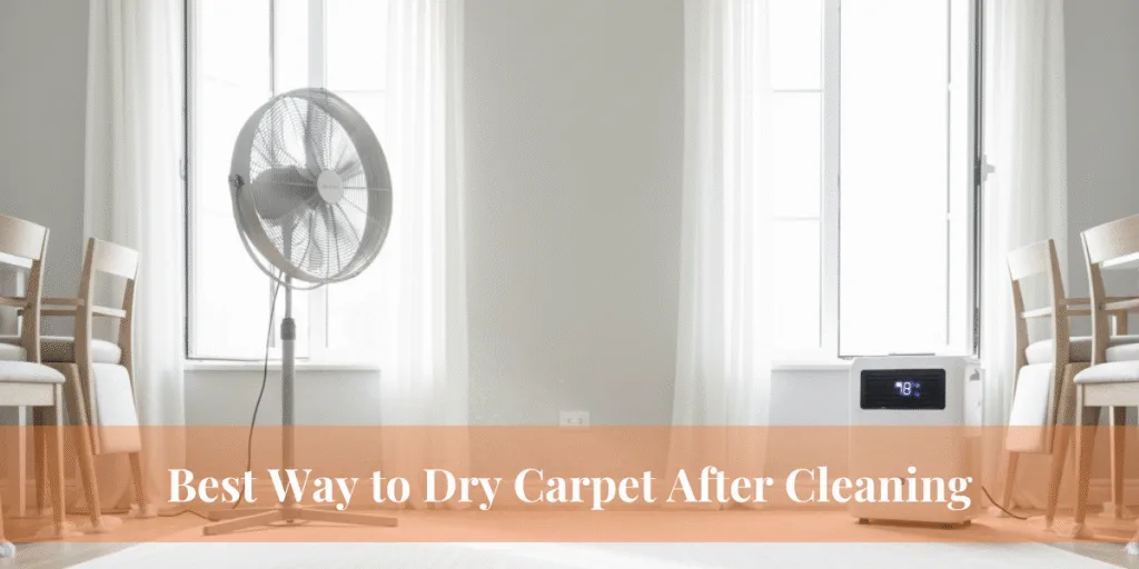 Best Way to Dry Carpet After Cleaning