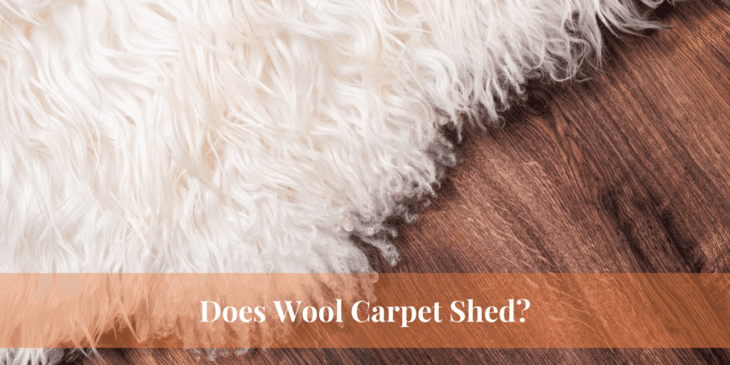 Does Wool Carpet Shed