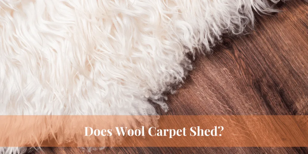 Does Wool Carpet Shed
