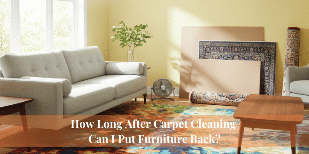 How Long After Carpet Cleaning Can I Put Furniture Back