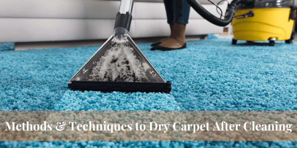 Methods & Techniques to Dry Carpet After Cleaning