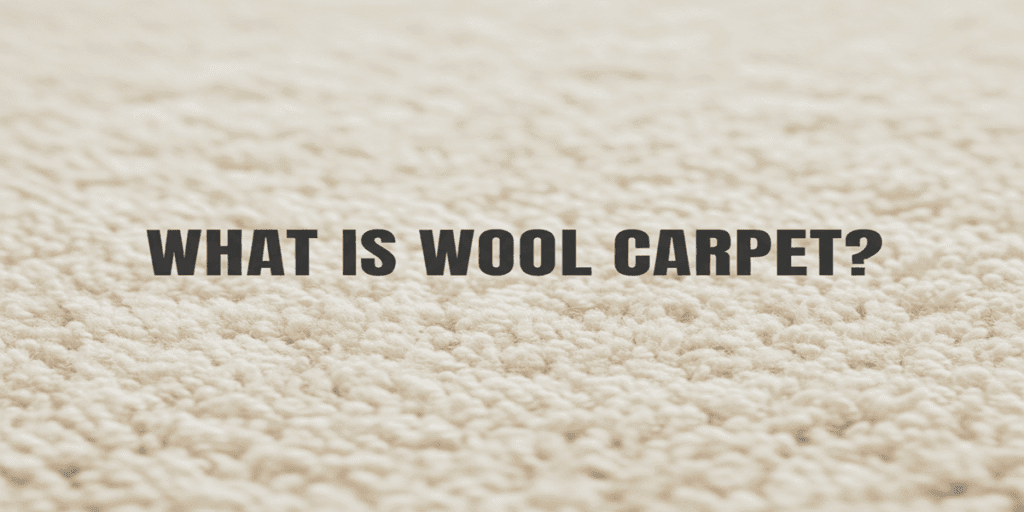 Nylon vs Wool Carpet: Best for Pets & Allergies? 3 What Is Wool Carpet